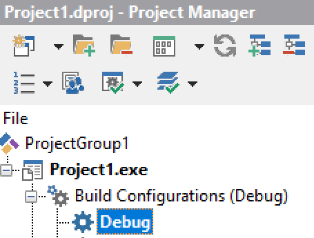 The Debug Reference in the Project Manager