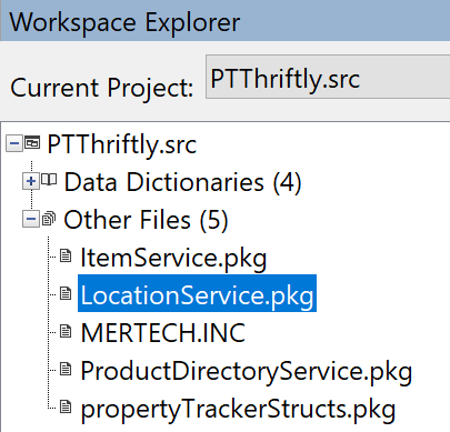 A DataFlex service within the Workspace Explorer sidebar
